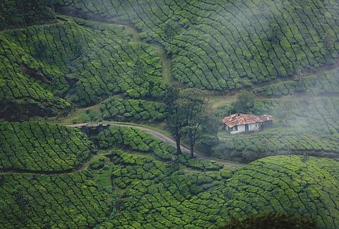 The Munnar hill station in Kerala is one of Asia’s most searched rural escapes