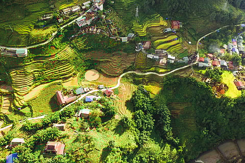 Terraced rice fields and mountain villages make Sapa one of Vietnam’s most striking rural landscapes.