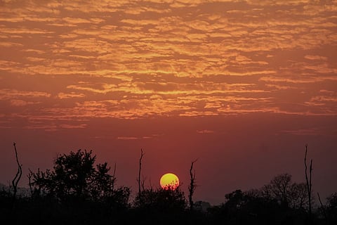 Sunset at Corbett