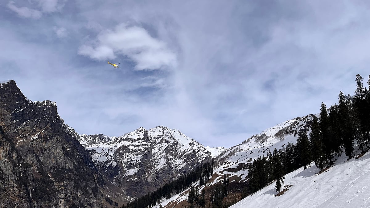 Mountain views from the slopes