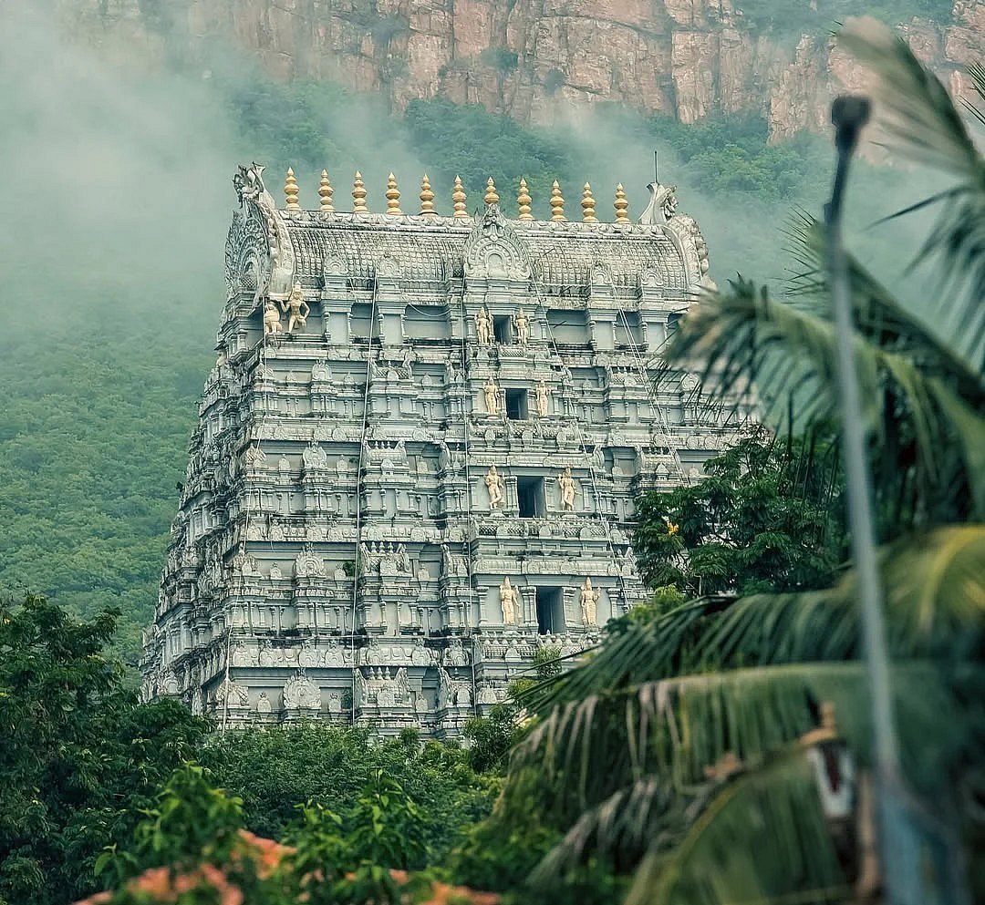 In the Tirumala Hills in Tirupati