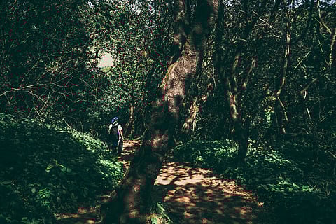 The varied trails showcase the rugged beauty and cultural richness of the region