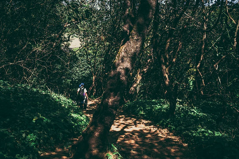 The varied trails showcase the rugged beauty and cultural richness of the region