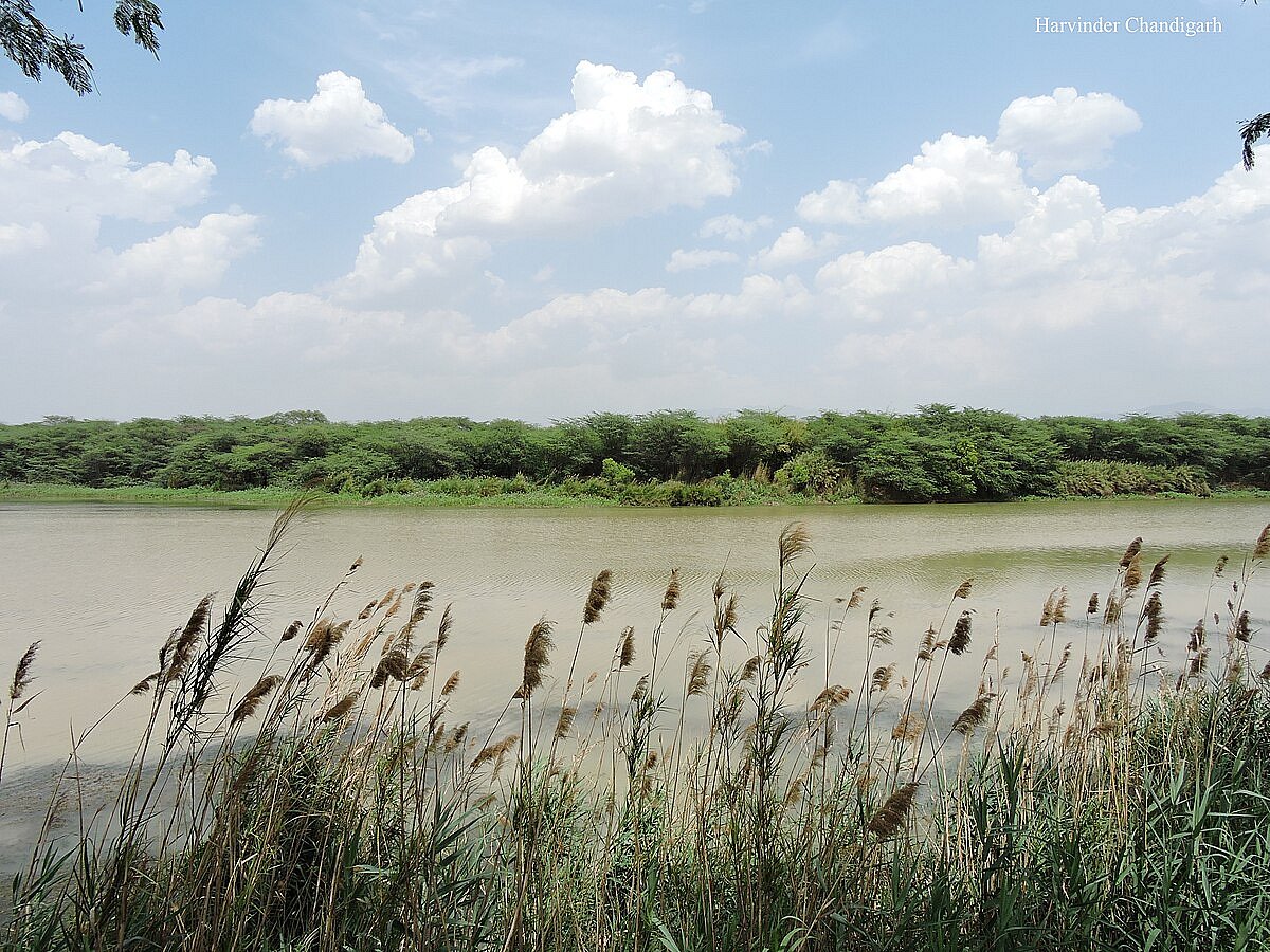 Sukhna Wildlife Sanctuary, view from middle way of Sukhna Lake, Chandigarh