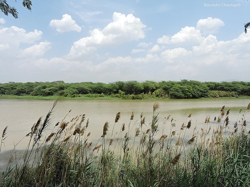 Sukhna Wildlife Sanctuary, view from middle way of Sukhna Lake, Chandigarh