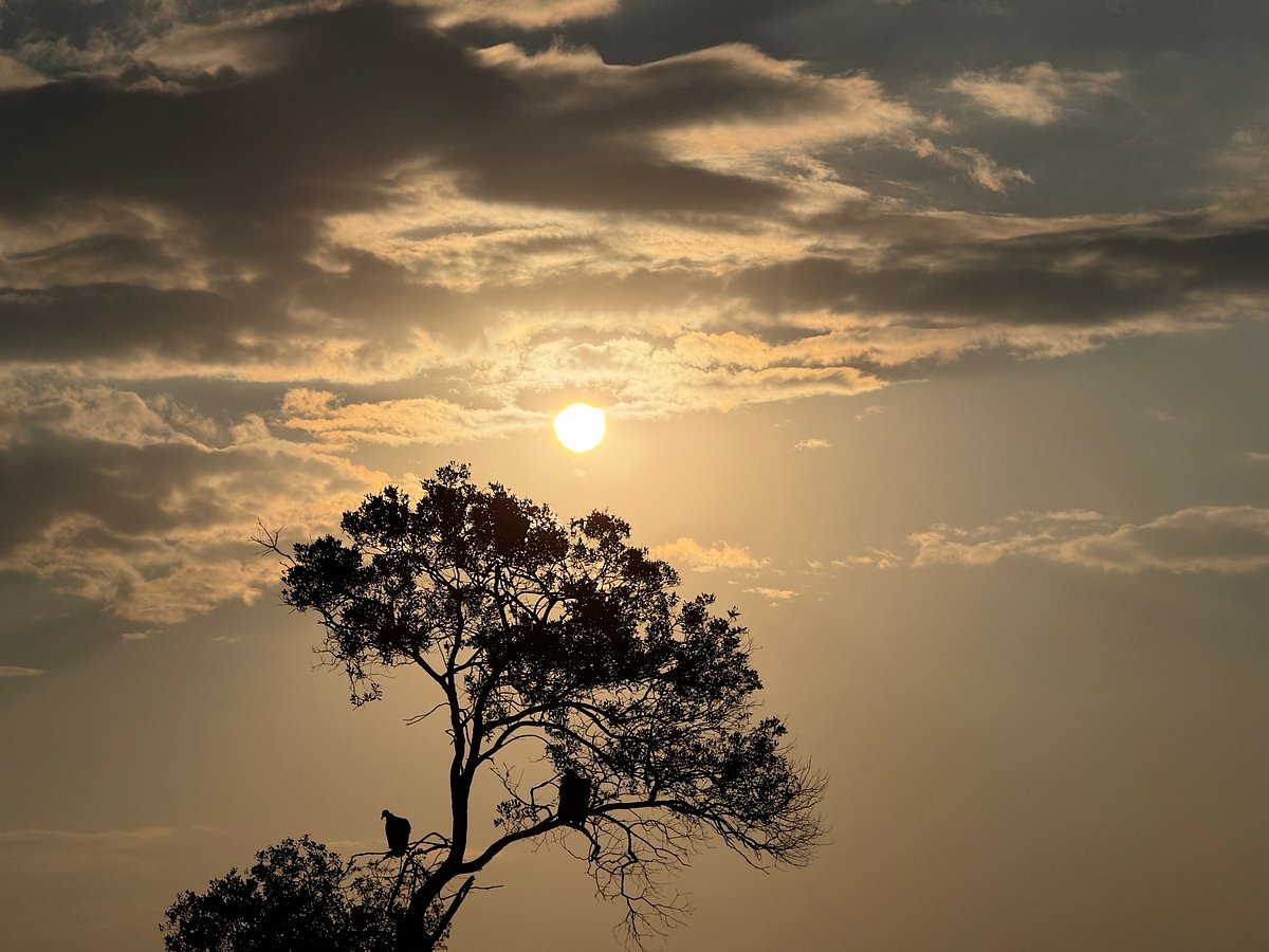 A scene from the trip