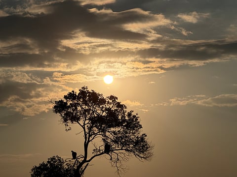 A scene from the trip