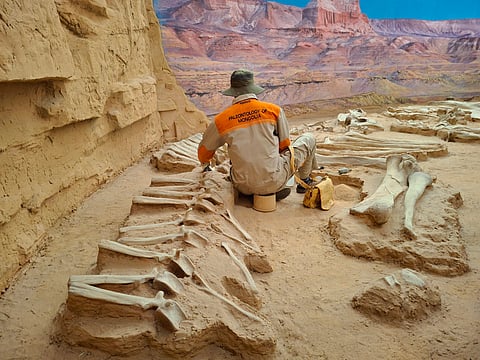 Dinosaur bones at a site in Mongolia