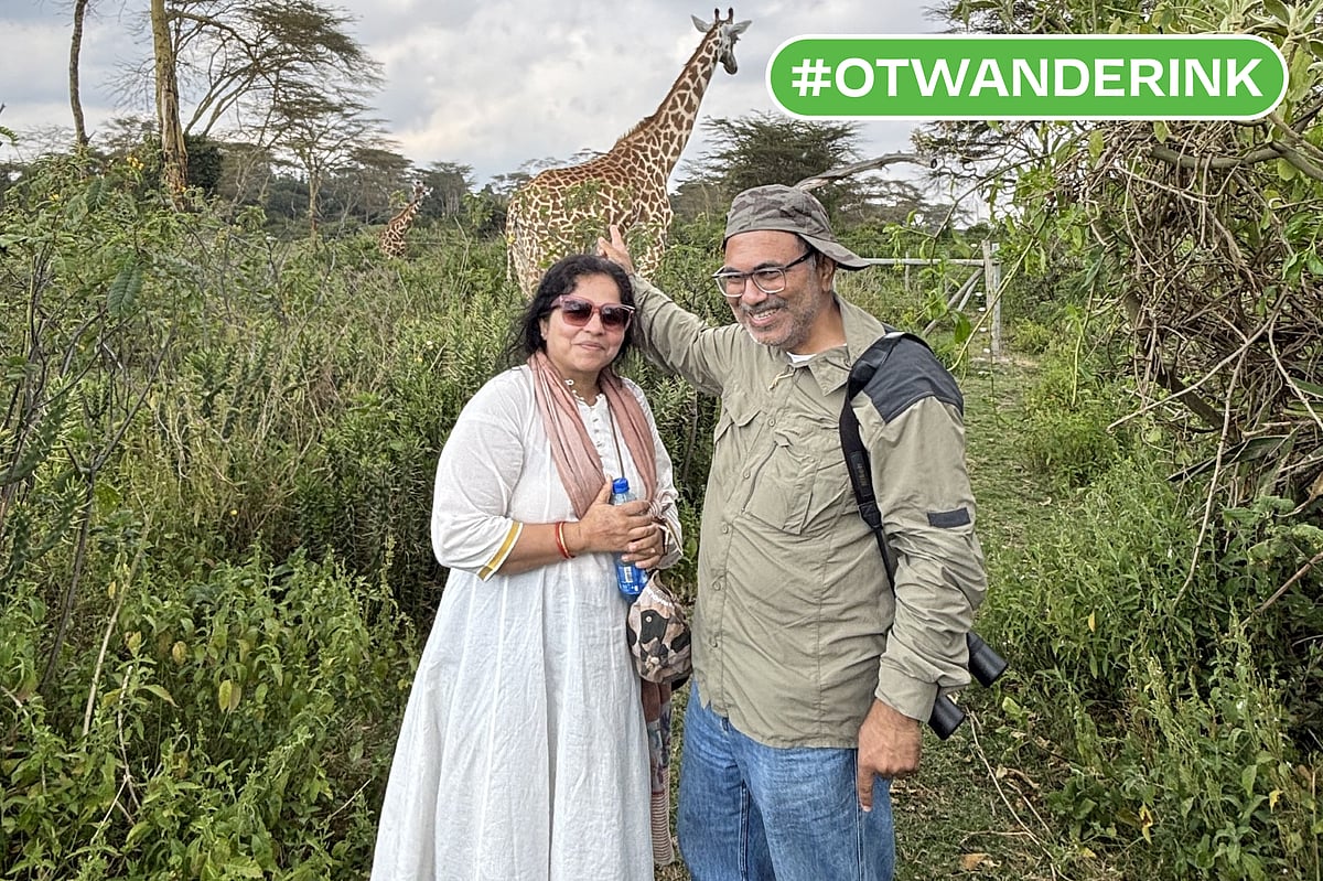 Author : With an elegant giraffe