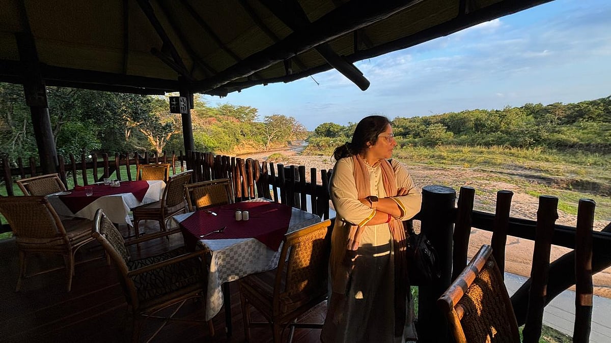 A pitstop for a meal in between safaris