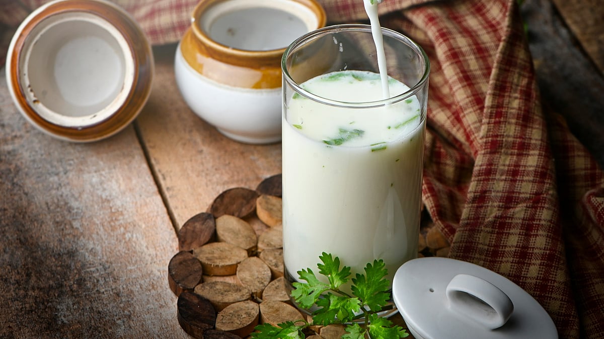 Seasoned buttermilk spiced with cumin, ginger, and herbs, taak is a daily staple in Maharashtra.