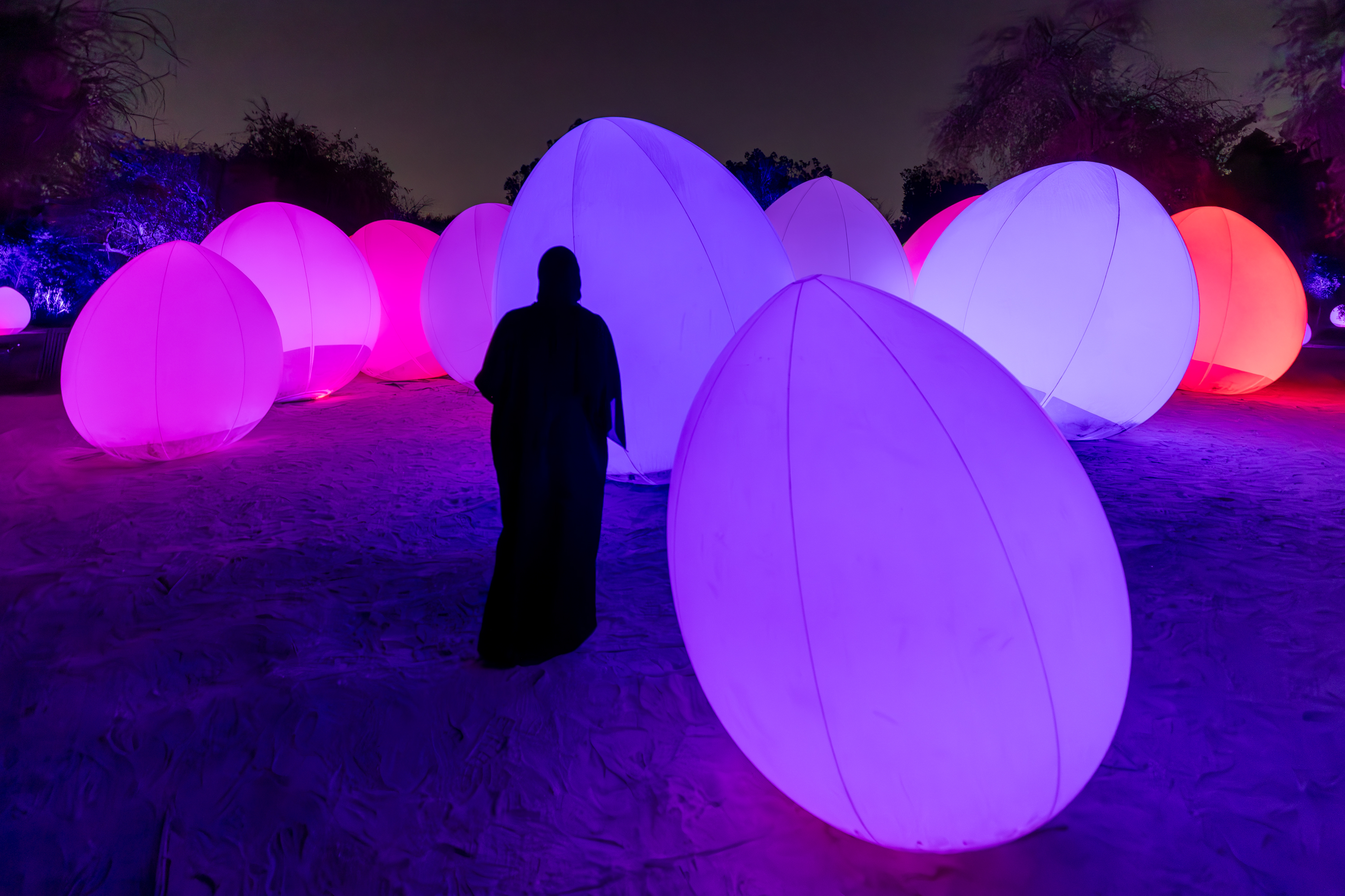 teamLab, Autonomous Resonating Life and Resonating Trees, Manar Abu Dhabi 2023