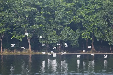 moefccgoi/Instagram : Gokul Jalashay in Bihar