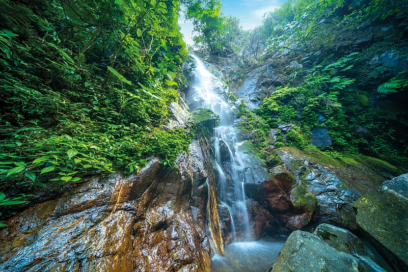 Hong Kong has dramatic waterfalls hidden in its hilly landscapes