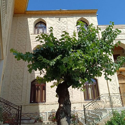 The charming boutique stay features garden-level terraces, perfect for enjoying breakfast or a drink