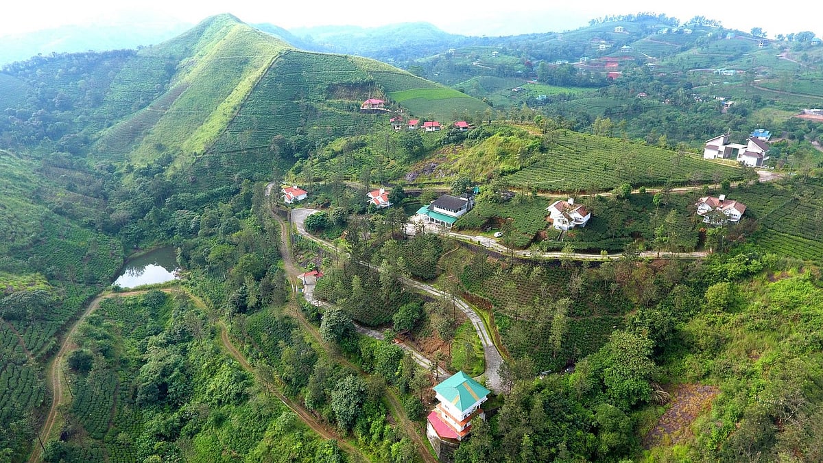 Aerial view of Falcon Crest.