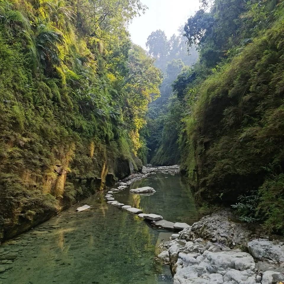 Inside Valmiki Tiger Reserve