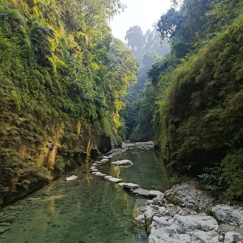 Inside Valmiki Tiger Reserve