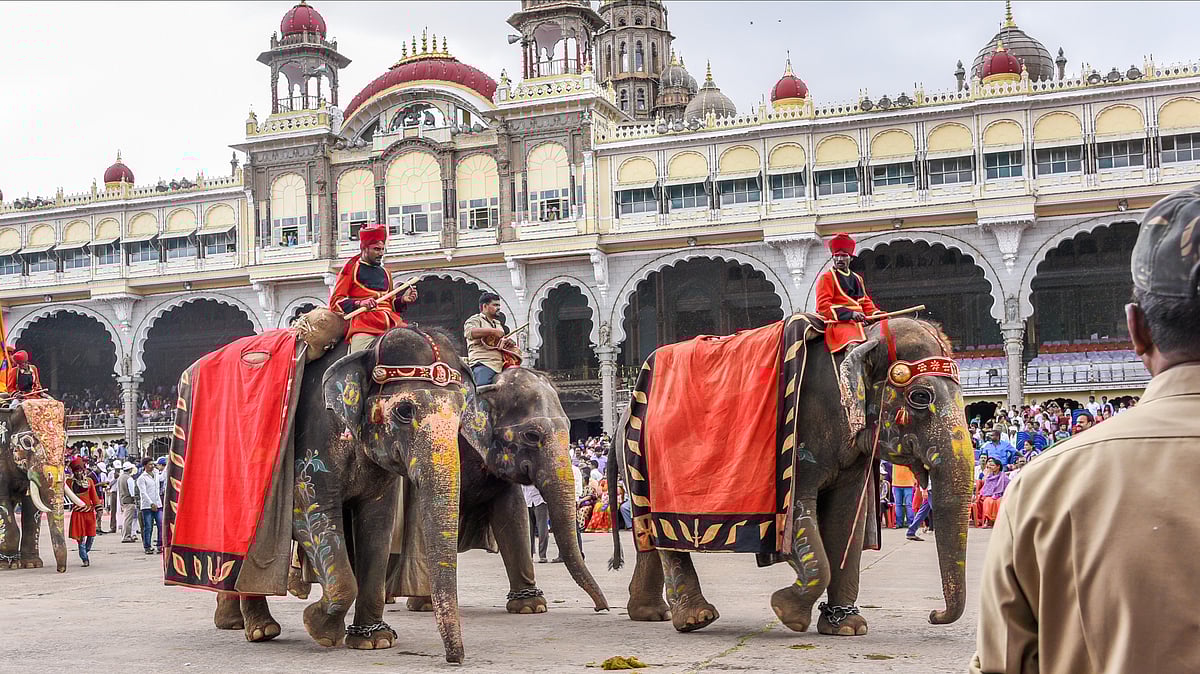 Men riding on decorated elephants with umbrella at Mysore Maharajas Palace as people watch the procession on Dussehra