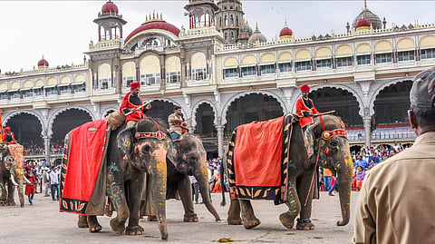 Men riding on decorated elephants with umbrella at Mysore Maharaja's Palace as people watch the procession on Dussehra