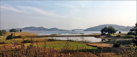 Himalayan Foot Hills, Valmikinagar, Bihar