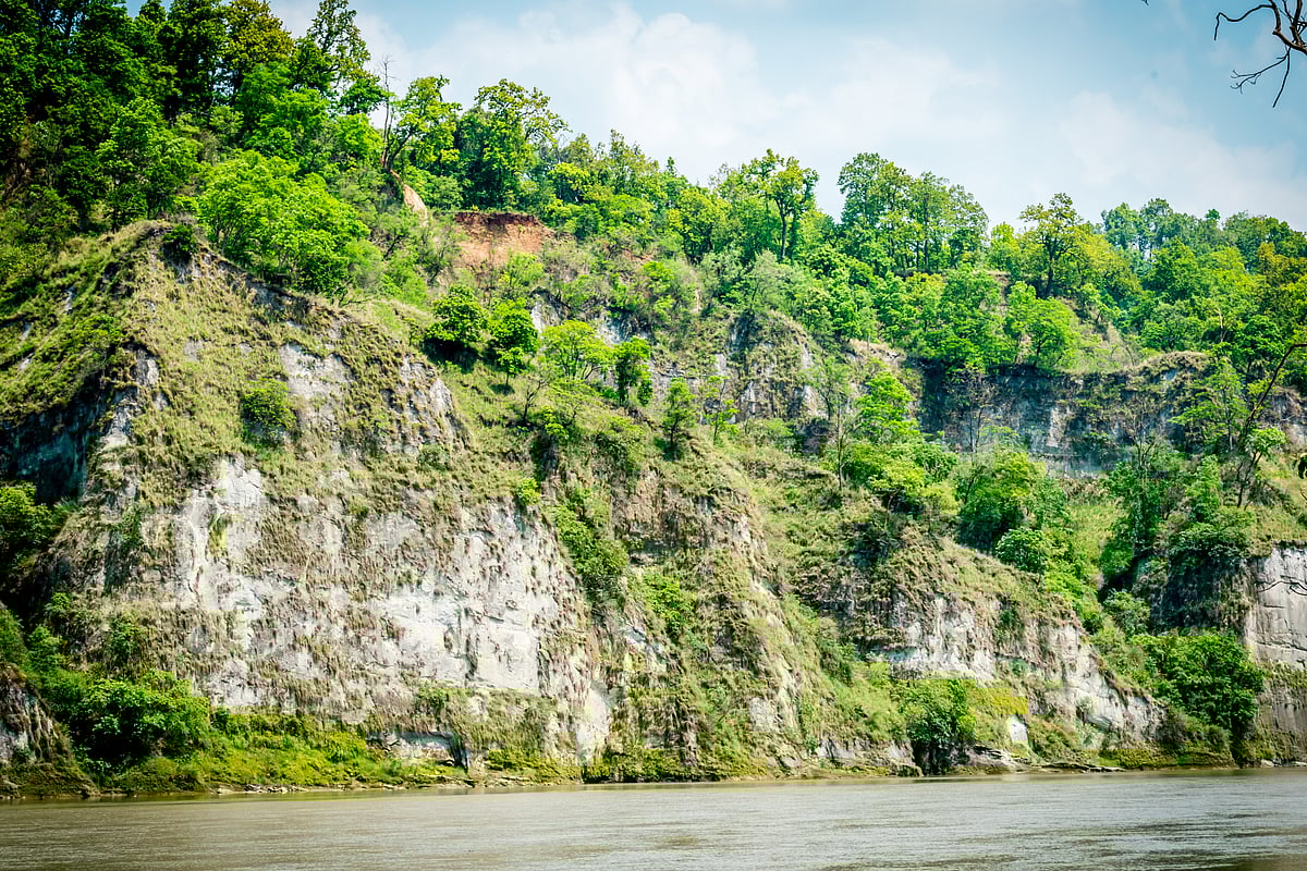 A view of Valmiki Tiger Reserve - Shutterstock
