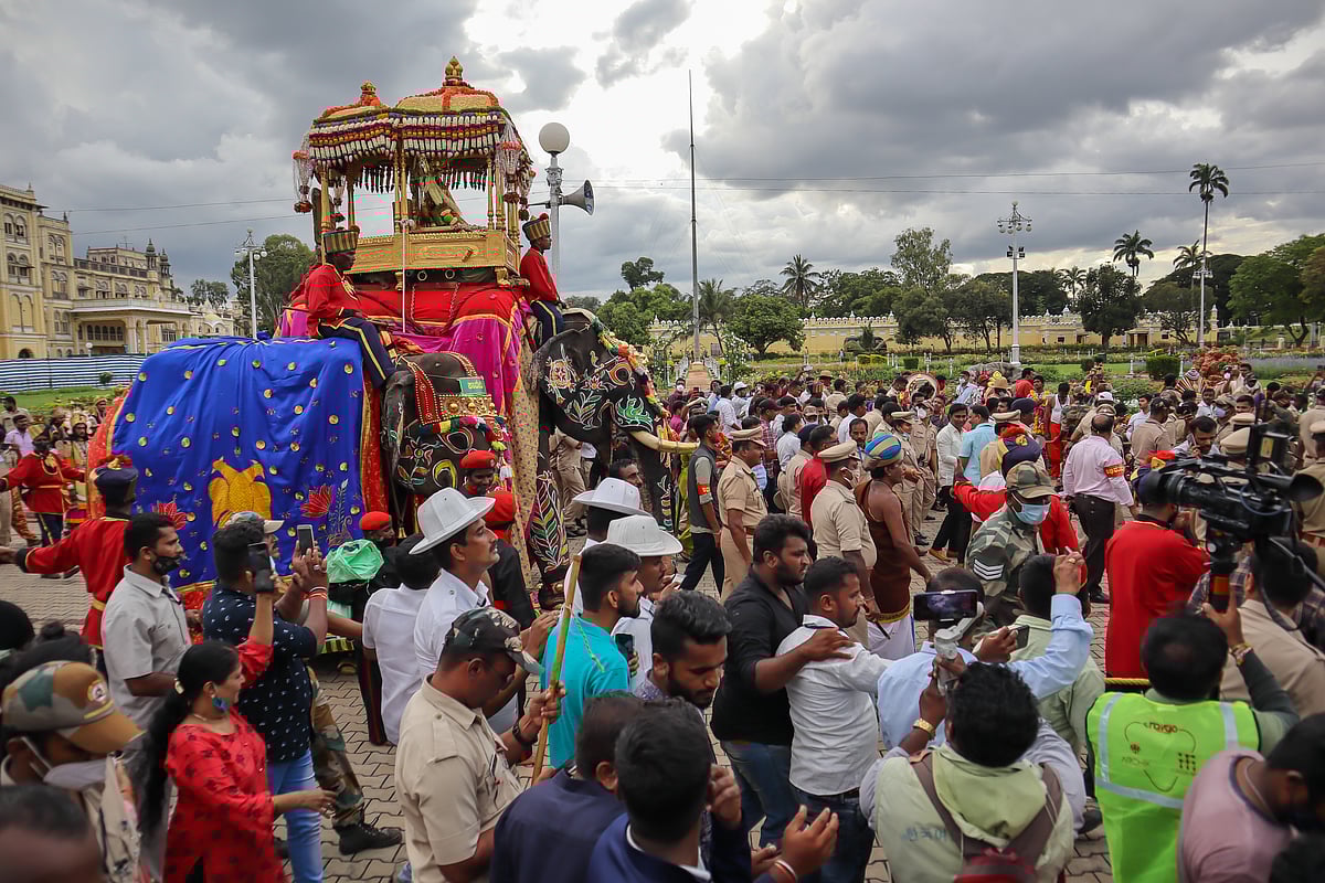 A Side view of the Royal Elephant carrying Golden Howdah with an idol of Goddess Chamundeshwari for the Dasara festival in Mysuru, India