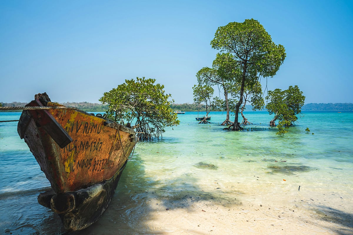 Unsplash : The Andaman and Nicobar Islands provide the backdrop for the Island Tourism Festival 2025, which is unfolding across 13 venues this week