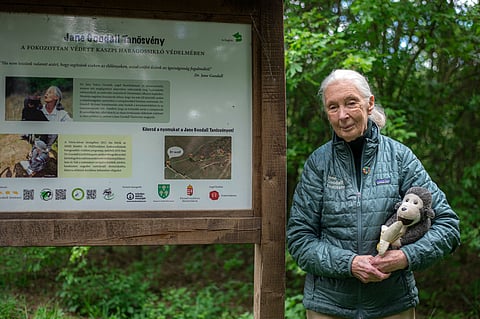 Dr Jane Goodall with Mr H at the Jane Goodall Nature Trail, Budapest, Hungary