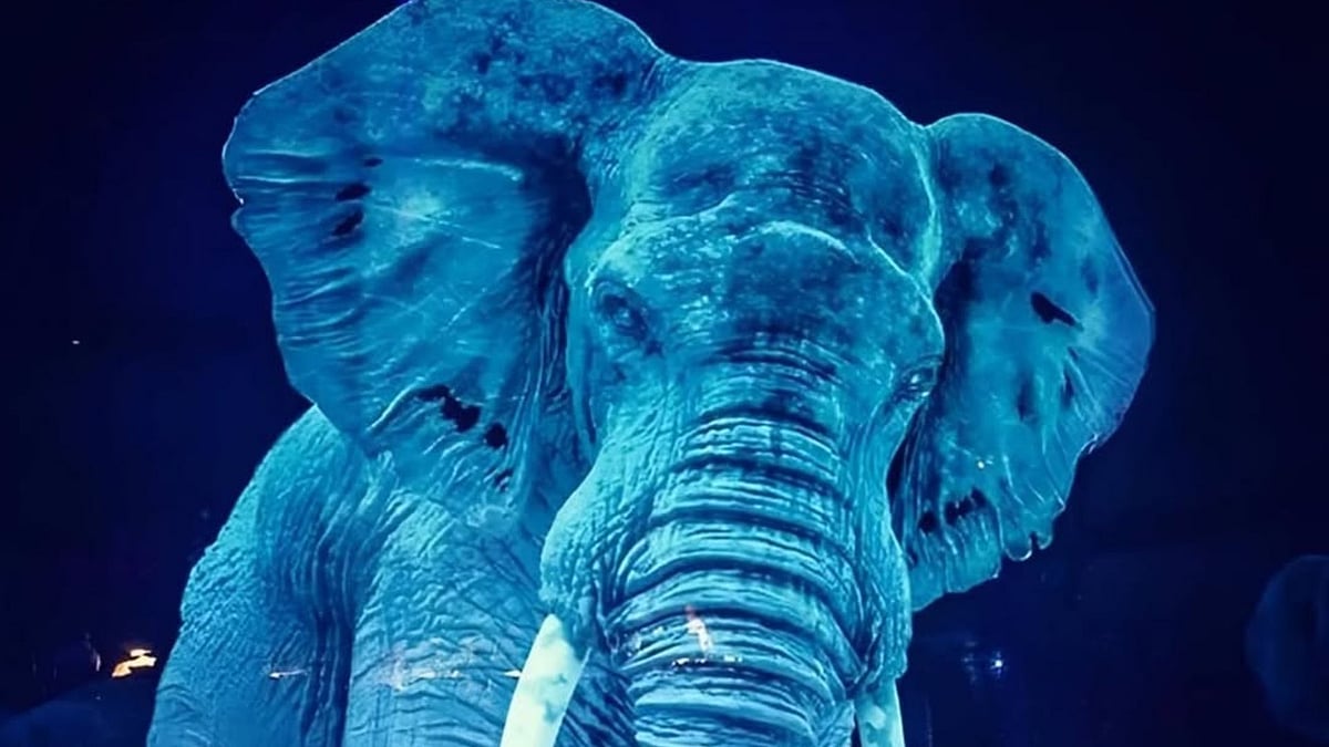 Circus Roncalli’s innovative approach merges artistry and technology, offering a cruelty-free experience that reimagines the traditional circus for modern audiences