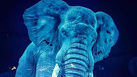 Circus Roncalli’s innovative approach merges artistry and technology, offering a cruelty-free experience that reimagines the traditional circus for modern audiences