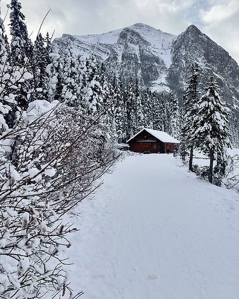 A shot of Lake Louise, Banff, Alberta