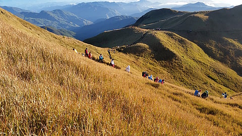 Hikers descending from the slopes of Mt Pulag
