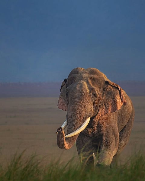 A clear day in Jim Corbett