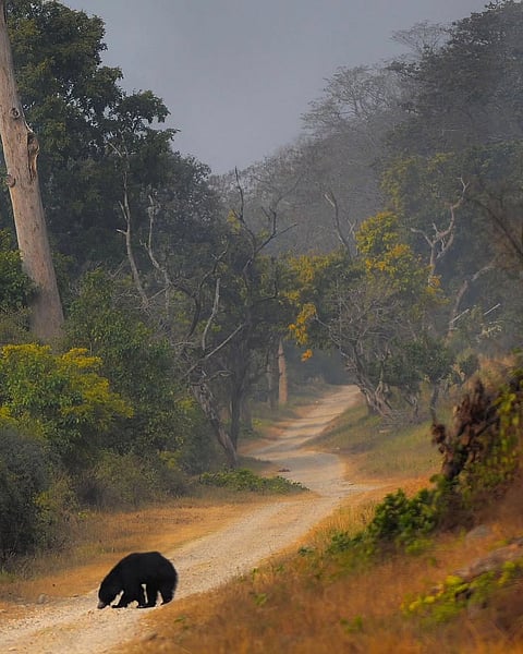 A post-monsoon day at Jim Corbett
