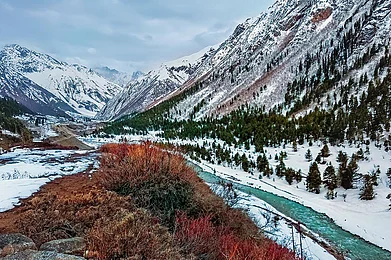 Shutterstock : Chitkul, the last village before the Indo-Tibet border
