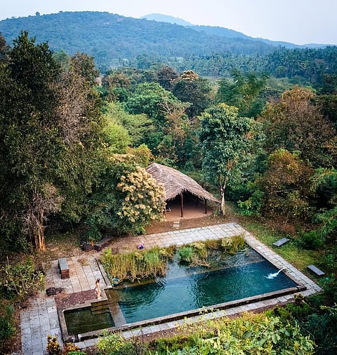 Plantation is a family-run eco-farmstay 