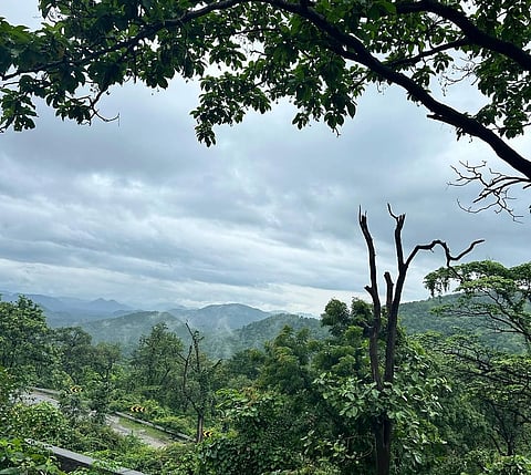 The valley is renowned for its dense forests and rolling hills