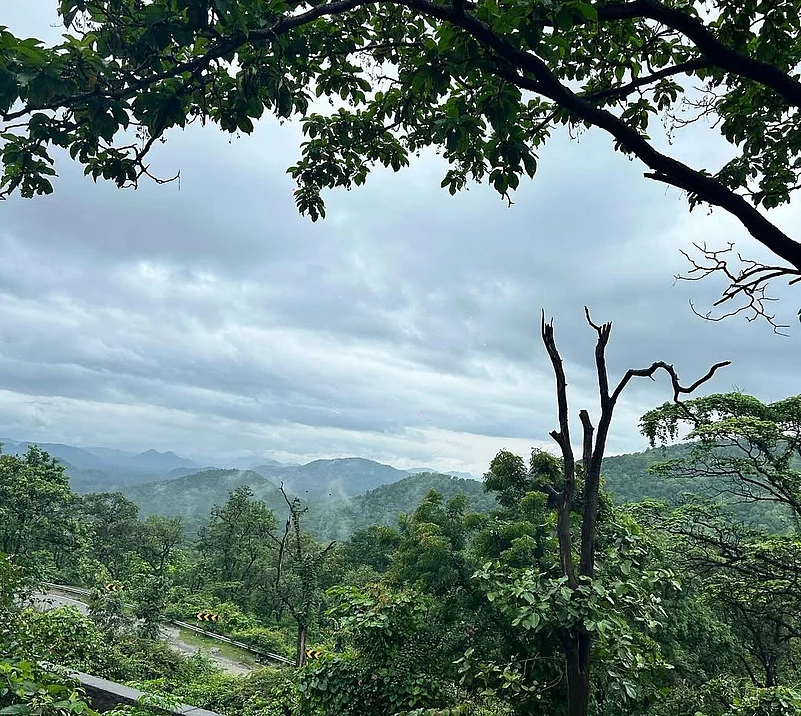 The valley is renowned for its dense forests and rolling hills