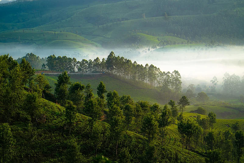 Mist-covered hills in Munnar, Kerala