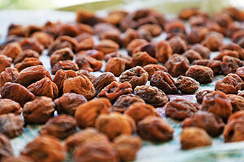 Apricots, fresh or dried, are widely used in Balti cuisine