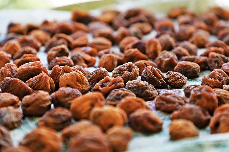 Apricots, fresh or dried, are widely used in Balti cuisine
