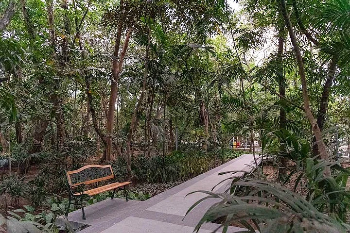 At the Arroceros Urban Forest Park