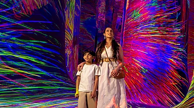 Department of Culture and Tourism, Abu Dhabi : A mother and son out during Diwali