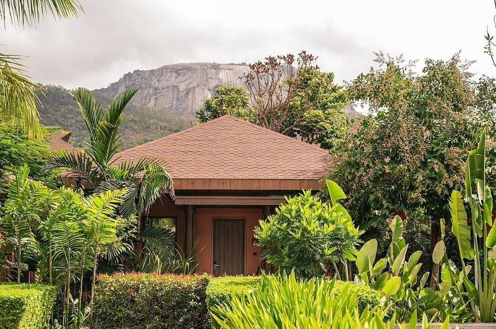 At Mulberry Shades Bengaluru, the hills hum with Diwali cheer—think candlelit feasts, crisp air, and festive nights