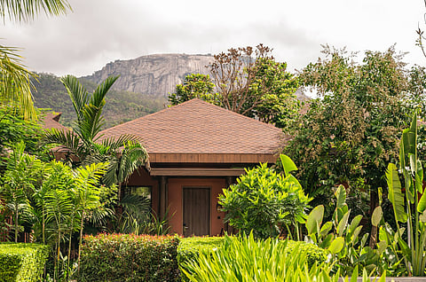 At Mulberry Shades Bengaluru, the hills hum with Diwali cheer—think candlelit feasts, crisp air, and festive nights