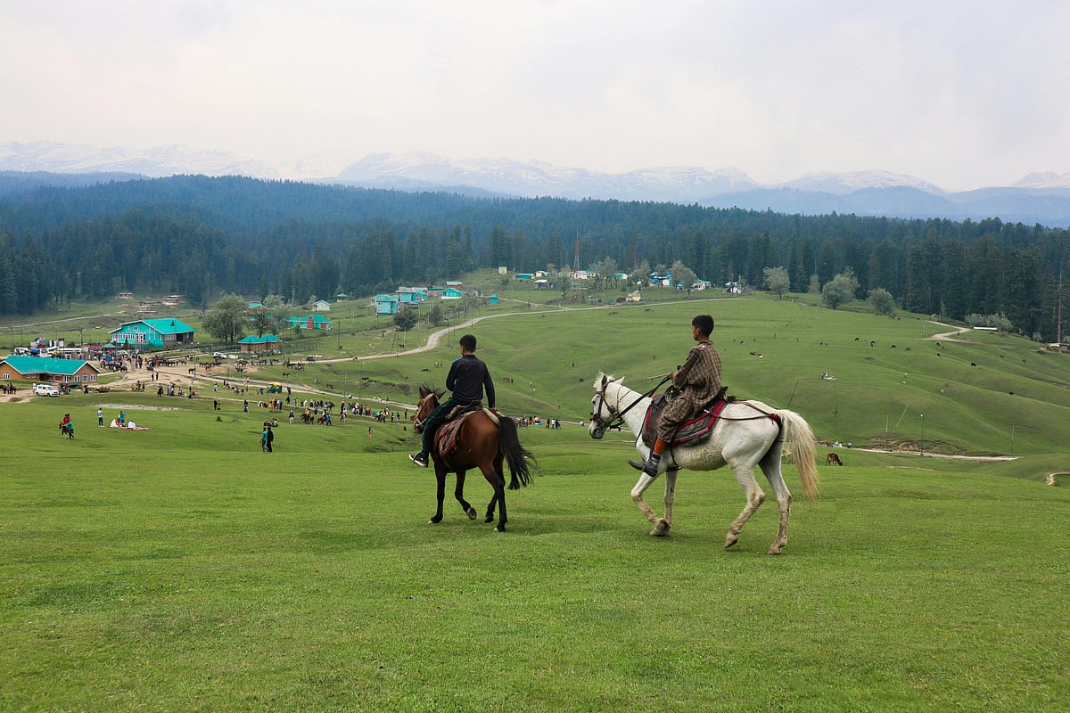 A vast meadow landscape in Yousmarg, Kashmir - Mysara Hassan/Pexels