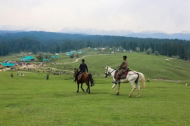 Mysara Hassan/Pexels : A vast meadow landscape in Yousmarg, Kashmir