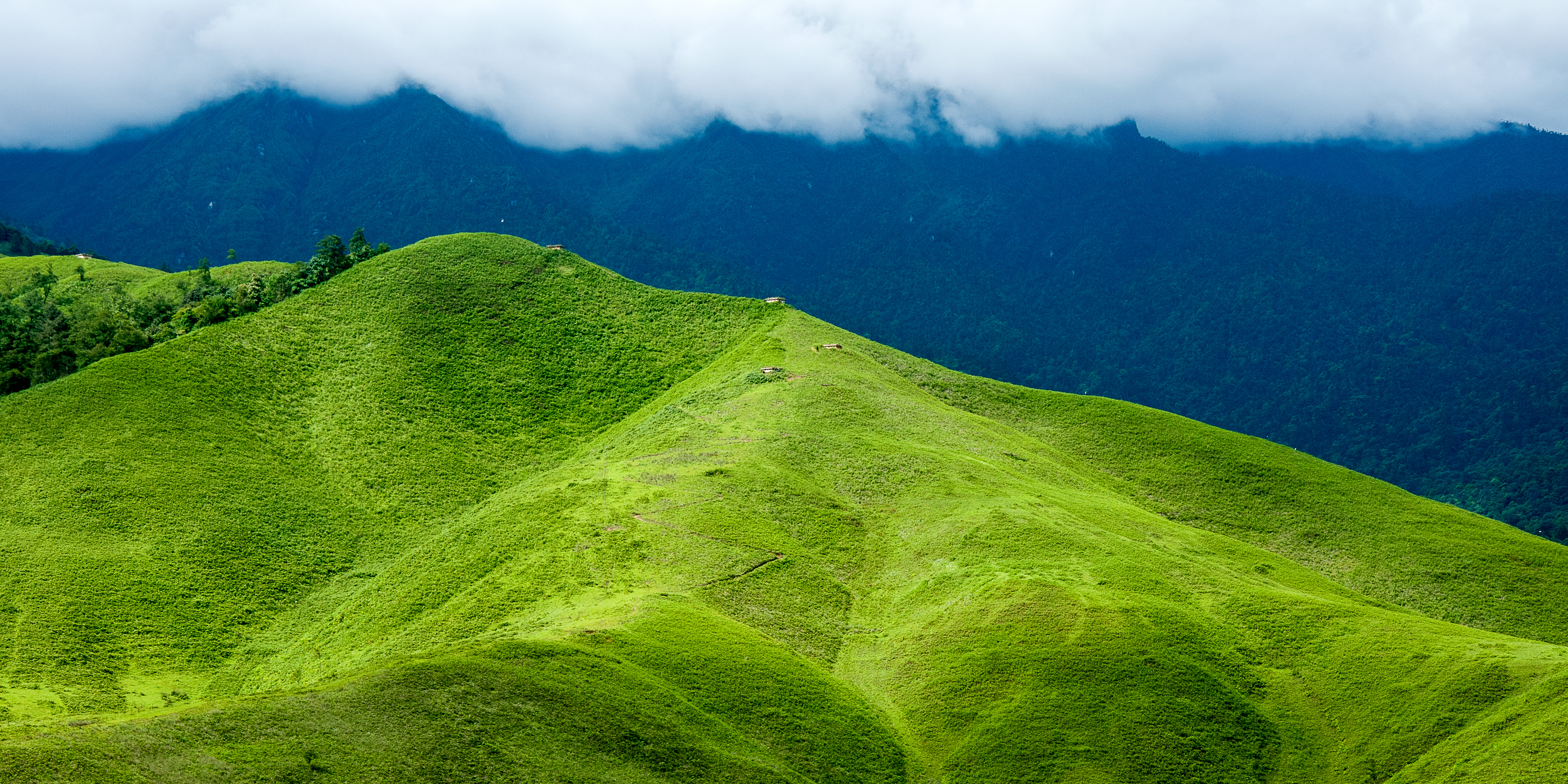 Mechuka, Arunachal Pradesh — a serene valley surrounded by pine forests and mountains