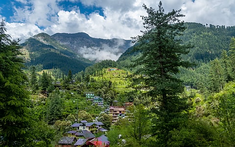 Tranquil views of Jibhi Valley in Himachal Pradesh